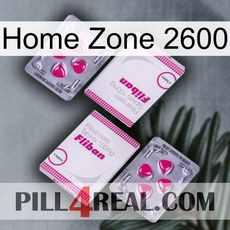 Home Zone 2600 33